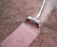 Deep Carpet Steam Clean Ltd 979685 Image 3