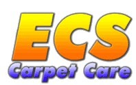 ECS Carpet Care 960519 Image 1