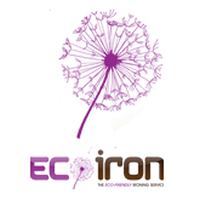 Eco Iron 973763 Image 0