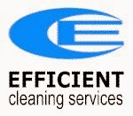 Efficient Cleaning Services 969109 Image 1
