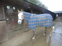 Essies Equine Tack Shop and Rug Wash 969080 Image 2