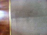 Excellence Carpet Cleaning Glasgow 964295 Image 0