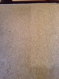Extremely Clean Carpet and upholstery cleaning 967368 Image 1