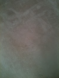 Extremely Clean Carpet and upholstery cleaning 967368 Image 8