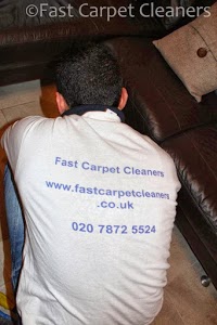 Fast Carpet Cleaners 973103 Image 1