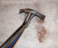 Fast Carpet Cleaners 973103 Image 3