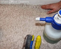 Fast Carpet Cleaners 985710 Image 2