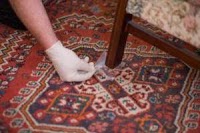 Feel clean Stevenage Carpet Cleaners 981886 Image 2