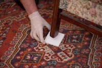 Feel clean Stevenage Carpet Cleaners 981886 Image 5