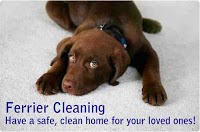 Ferrier Carpet Cleaning Specialists 967914 Image 1