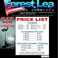 Forest Lea carpet and upholstery cleaning services 988830 Image 4