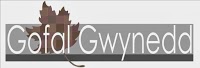 Gofal Gwynedd Care Ltd 979958 Image 0