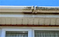 Gutter Cleaning Specialists 959784 Image 2
