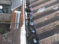 Gutter Cleaning Specialists 959784 Image 6