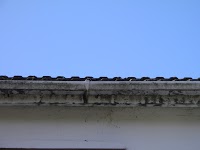 Gutter Cleaning Specialists 959784 Image 7