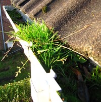 Gutter Cleaning Specialists 979274 Image 0