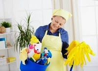 HD6 Domestic Cleaners 987000 Image 1