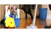 J Clean Carpet Cleaning 976363 Image 1