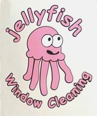 Jellyfish Window Cleaning 965571 Image 0
