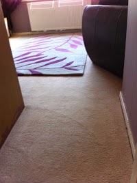 Local Carpet and Upholstery Cleaning 988445 Image 2