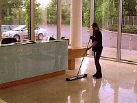 Local Cleaning Services 978851 Image 0