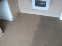 MBA Carpet Cleaning 989501 Image 6