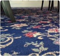 Magic Carpet Cleaning 972962 Image 5