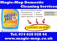 Magic Mop Domestic and Commercial Cleaning Services 986176 Image 0