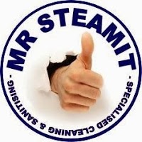 Mr Steam It 990372 Image 0
