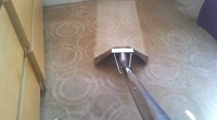 Newcastle Carpet Cleaning Company 967710 Image 4