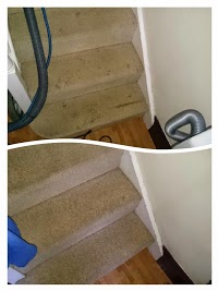 Newsteads Cleaning Services 966969 Image 1