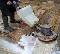 Persian Carpet Cleaning Company 986628 Image 2