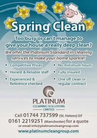 Platinum Cleaning Solutions 973120 Image 1