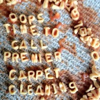 Premier Carpet and Upholstery Cleaning Ltd 964925 Image 0