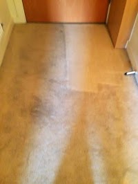 Premier Carpet and Upholstery Cleaning Ltd 964925 Image 9
