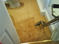 Premier Carpet and upholstery cleaning 978025 Image 2