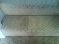 Premier Carpet and upholstery cleaning 978025 Image 3
