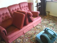 Premier Carpet and upholstery cleaning 978025 Image 5