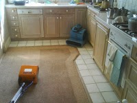 Premier Carpet and upholstery cleaning 978025 Image 6
