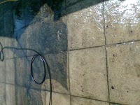 Pressure Wash and Gardening Services 972369 Image 1