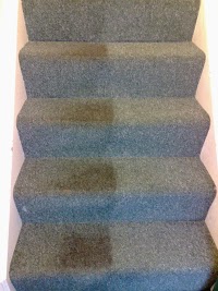Professional Carpet Cleaning 973999 Image 0