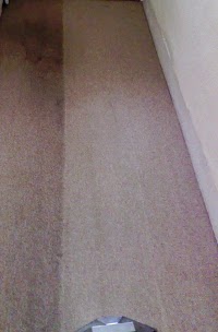 Professional Carpet Cleaning 973999 Image 1