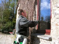 Red Dragon Window Cleaning 984998 Image 6