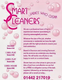 SMART CLEANERS 990315 Image 0