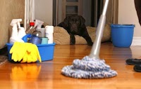 SNS Cleaners 968555 Image 0