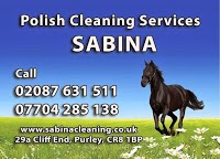 Sabina polish cleaning services 984580 Image 0