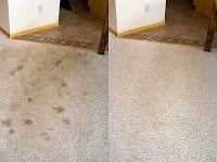 SandD Carpet Cleaning Co 971856 Image 5