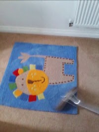 SandD Carpet Cleaning Co 971856 Image 6