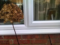 See throo window cleaning 964313 Image 7