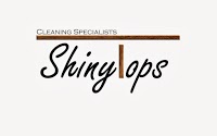 ShinyTops Cleaning specialists 991634 Image 1